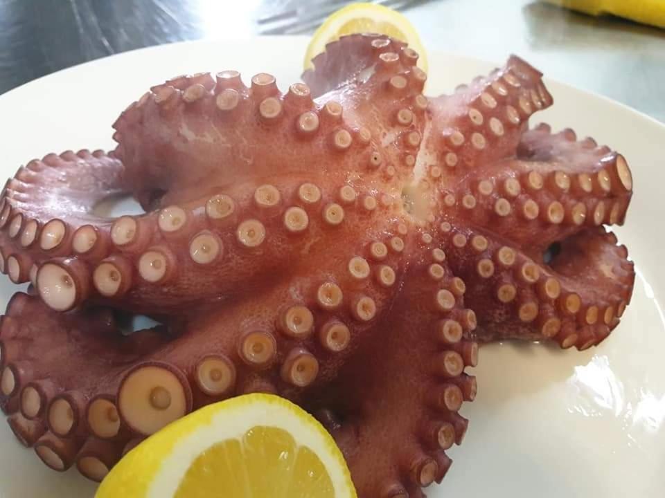 Relais Black Horse 밀레시모 외부 사진